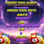 Prediksi Togel Akurat Tokyo 29 Agustus 2024